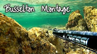 Beach Dive Fishing Living Life Busselton Montage [upl. by Prady]