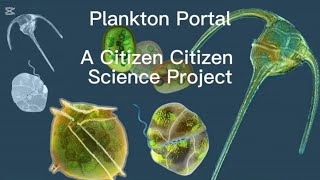 Plankton Portal  A Citizen Science Project [upl. by Lochner]