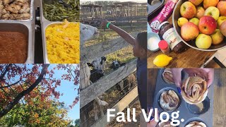 SAHM VLOG Apple picking at the farm  new recipes  Christian open mic night vlog family recipe [upl. by Regazzi566]