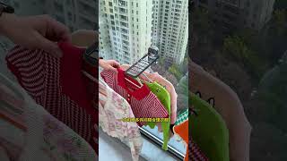 Cool Tool Items🥰New Viral Gadgets Smart Kitchen Appliances Tools Utensils Home Cleaning shorts [upl. by Pinto]