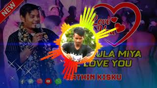 New Santali Dj Song 2024 Santali Dj Song Ruthin Kisku [upl. by Staley958]