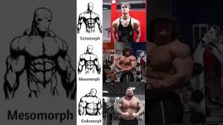 Which one do you have  endomorph ectomorph mesomorph gym [upl. by Sidwel857]