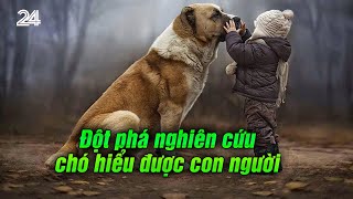 Đột phá nghiên cứu chó hiểu được con người  VTV24 [upl. by Arul]