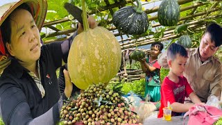 Full video Daily Life Harvest vegetables fruits bring to the market sells [upl. by Eslek893]