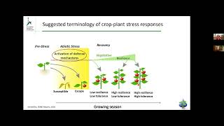 Diurnal stomatal apertures and density ratios affect wholecanopy [upl. by Noyr]