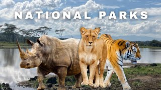 WILDLIFE ENCOUNTERS IN NAKURU NATIONAL PARKANIMALS YOU WONT BELIEVE [upl. by Eissirhc]