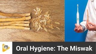 Miswak Sticks Ancient Oral Hygiene Hack with Dr Ellie miswak oralhygiene [upl. by Rhtaeh]