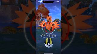 So lucky I found Galar Zapdos in Pokémon Go Halloween event pokemon pokemongo [upl. by Anaiviv]