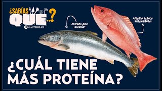 ¿Sabes la diferencia entre los pescados blancos y azules Conoce los beneficios de cada uno [upl. by Strader]