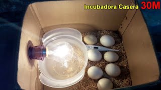 Incubadora Casera para huevos de gallina  Nacimiento de los pollos en la Incubadora casera [upl. by Ody]