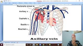 Musculoskeletal Module I in Arabic 42  Veins of upper limb   by Dr Wahdan 2022 [upl. by Nilyam]