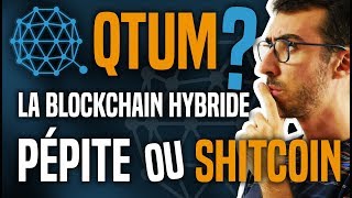 Analyse de QTUM  Pépite ou Shitcoin [upl. by Yrreb]