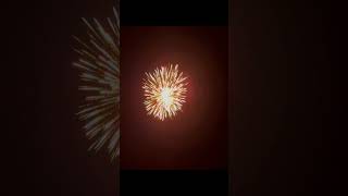 8quot HCMF King Cobra Short fireworks shorts [upl. by Rhodes971]