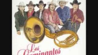 los caminantes con banda supe perder0001wmv [upl. by Amandy324]