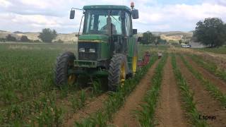 John Deere 6310 alomando maiz  En HD [upl. by Eronaele]