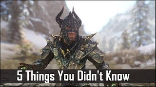 Skyrim 5 Things You Probably Didnt Know You Could Do  The Elder Scrolls 5 Secrets Part 7 [upl. by Ahsatam]