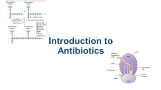 Introduction to Antibiotics [upl. by Aileno47]