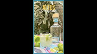 Altos Margarita Recipe step by step 🍹 [upl. by Anitsyrc516]