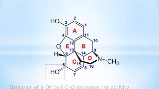 Morphine Structure Activity Relationship [upl. by Odlawso]