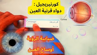 معلومات دواء القرنية كورنيريجيل Corneregel [upl. by Leanahtan]