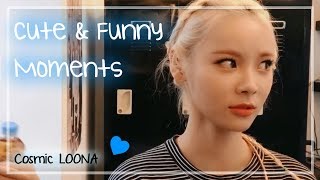 LOONA JinSoul Cute and Funny Moments [upl. by Beisel]