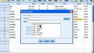 Spearman Correlation  SPSS part 1 [upl. by Birkett284]