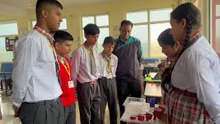 WORLD SCIENCE DAY FOR PEACE AND DEVELOPMENT FUTURE SCIENTISTS Rudra School Basal [upl. by Feigin841]