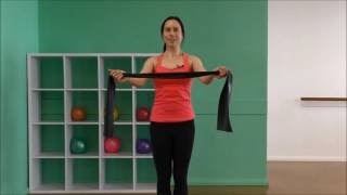 12 Minute Theraband Shoulder amp Back Strength Workout [upl. by Eatnoed]