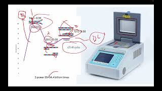 PCR Primer Designing Genotyping Part2 [upl. by Garbers]