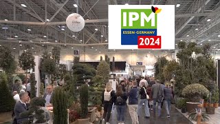 IPM Essen 2024 The Ultimate Horticultural Showcase [upl. by Irik311]