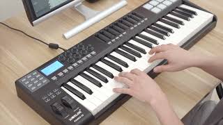 Aiersi Worlde Brand 49 Keys 8 Pads Digital Midi Controller PANDA49 [upl. by Nitsuga]