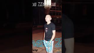 Jincheng Zhang  Veteran Background Music Instrumental Version Official Audio [upl. by Yoccm359]