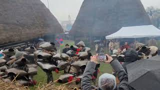 Traditii de Craciun in Maramures [upl. by Adlesirc743]