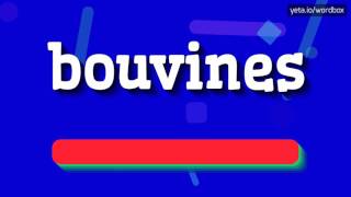 BOUVINES  HOW TO PRONOUNCE IT [upl. by Dde465]