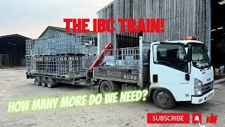 Day 137  Collecting more IBCs But how many do we have [upl. by Kama]