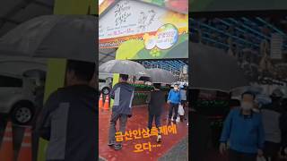 금산인삼축제에 구경하러 오다Come see the Geumsan Ginseng Festival [upl. by Harte]