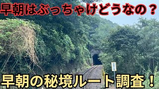 【関西本線】早朝はぶっちゃけどうなの？早朝の秘境ルート調査！ [upl. by Crary]