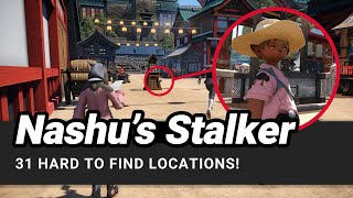 FFXIV Hildibrand  Nashus Lalafell Stalker 31 Secret Locations [upl. by Kriss]