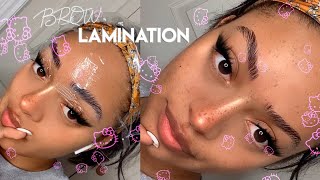 I TRIED BROW LAMINATION AT HOME DIY  QUARANTINE WEEK VLOG [upl. by Namor]