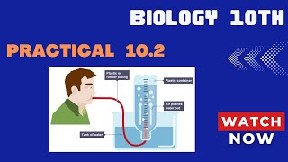 Biology 10th Practical 102 Experiment to find out how much air a person can take into hisher lungs [upl. by Annoirb]