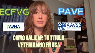 Cómo Validar tu Título de Veterinario en USA Todo lo que Necesitas Saber [upl. by Zurkow]