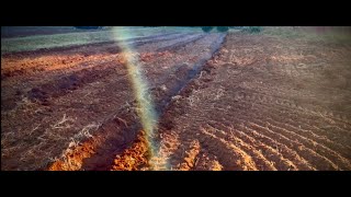 Farm Series Planting Sugar Cane [upl. by Treblih]