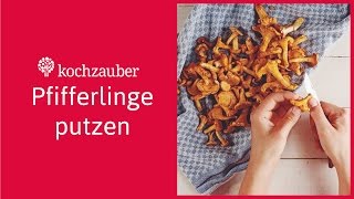 Pfifferlinge putzen Der richtige Pilzputz in 4 Schritten [upl. by Akfir]