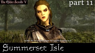 In Skyrim Summerset Isle part 11 Ardhil of Alinor [upl. by Kcinom]