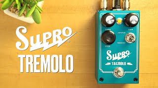 Supro Analog Dual Mode Tremolo [upl. by Hayley164]