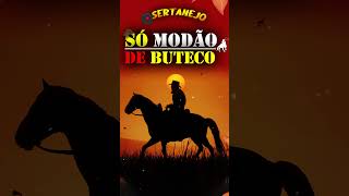 Modão De Buteco  Sucessos Sertanejos só Modão de Raiz [upl. by Ahsito26]