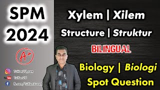 Xilem  Xylem  2023 SPM Biologi  Biology  Soalan Ramalan  Spot Question  Bilingual [upl. by Tanner]