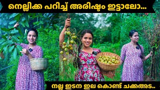 നെല്ലിക്ക പറിച്ച് അരിഷ്ടം ഇട്ടാലോനല്ല ഇടന ഇല കൊണ്ട് ചക്കഅടമലയാളം saranyas beauty vlogs [upl. by Latrice]