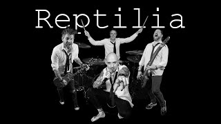 Reptilia  The Strokes Reptilia the Band Live Cover [upl. by Eusadnilem]