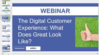 Webinar Recording  The Digital Customer Experience  What Does Great Look Like [upl. by Modestia]